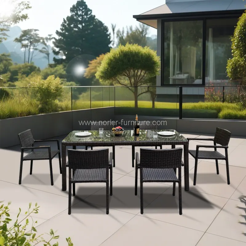 Duurzame buitenaluminium frame PE Rattan Dining Set